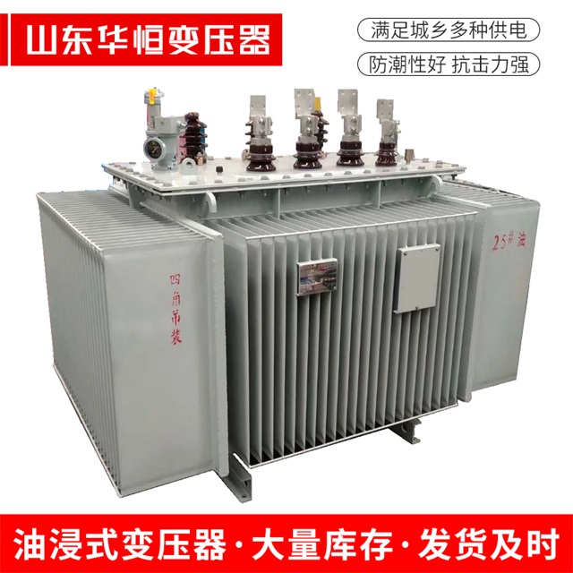 S13-10000/35策勒策勒策勒电力变压器厂家