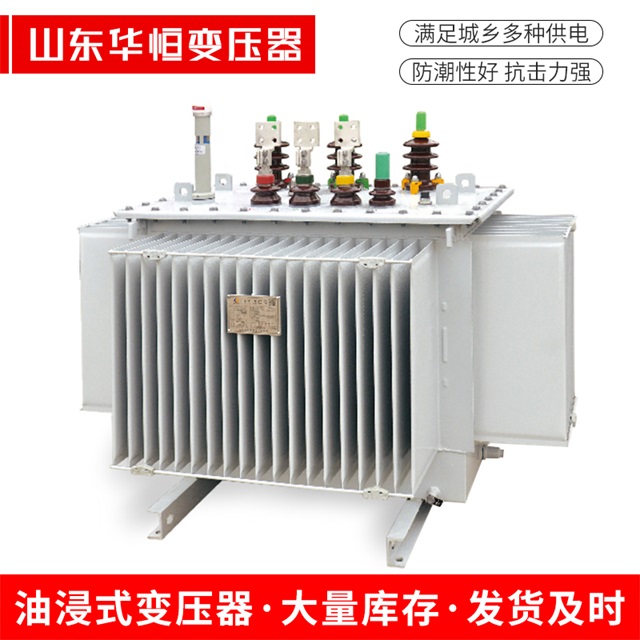 S13-10000/35策勒策勒策勒电力变压器